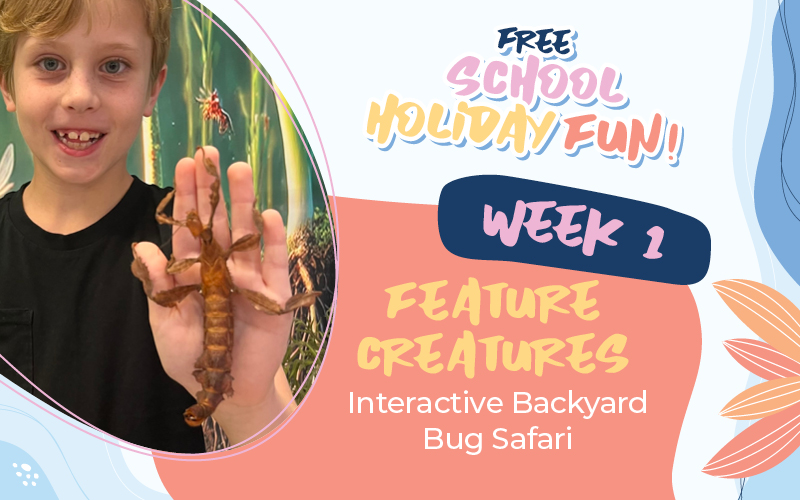 Week 1: Feature Creatures &ndash; Interactive Backyard Bug Safari